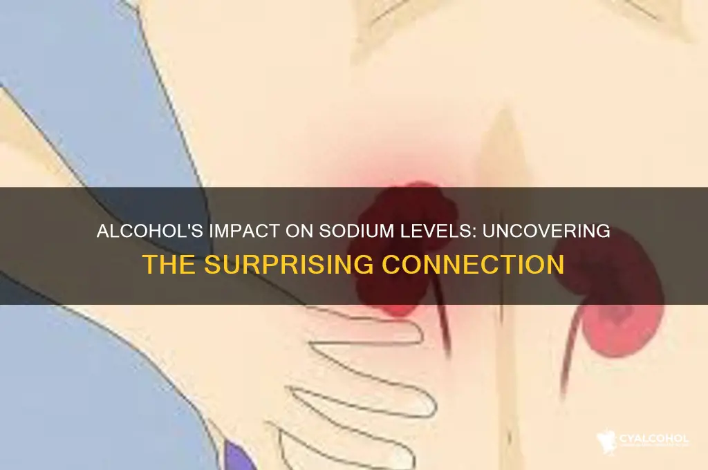 does alcohol lower sodium levels