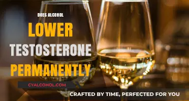 Alcohol's Impact: Does Drinking Permanently Lower Testosterone Levels?
