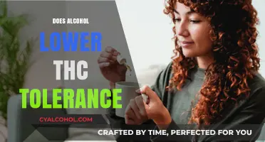 Exploring the Effects: Does Alcohol Influence THC Tolerance?