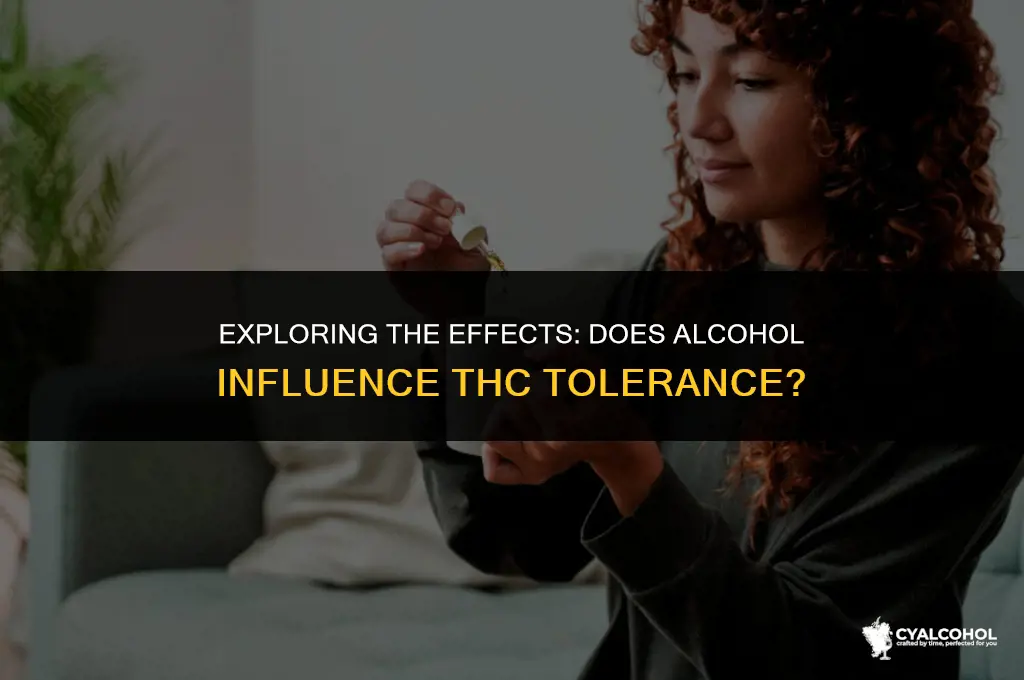 does alcohol lower thc tolerance