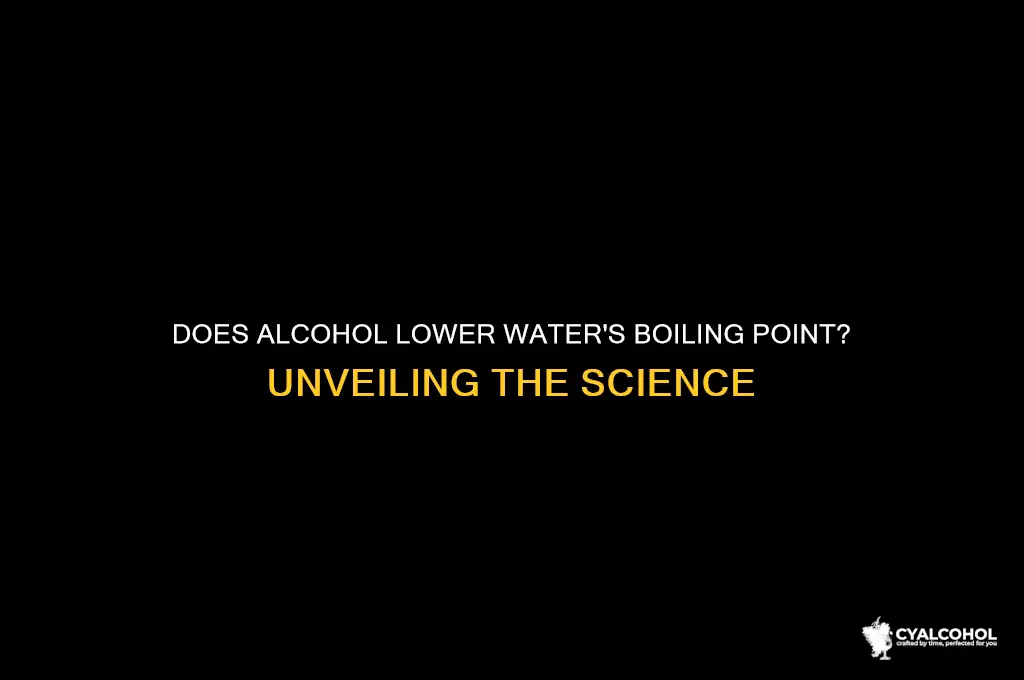 does alcohol lower the boiling point of water
