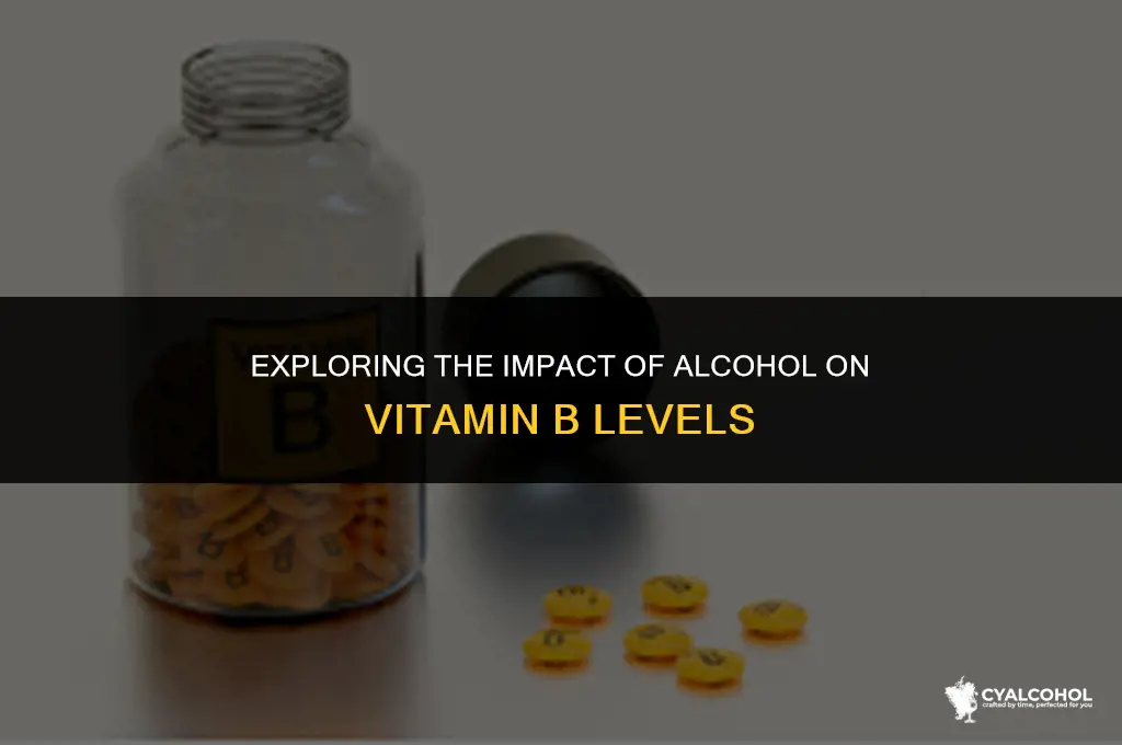 does alcohol lower vitamin b