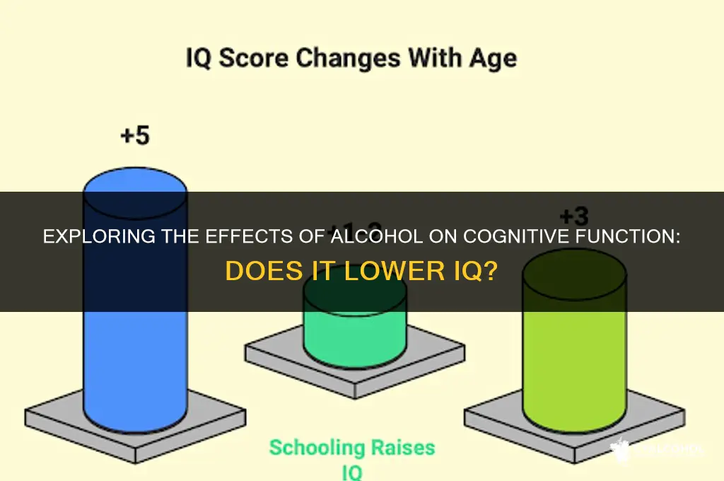 does alcohol lower you iq