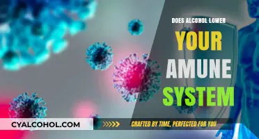 Alcohol's Impact: Does Drinking Weaken Your Immune System?