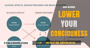 Exploring the Effects: Does Alcohol Truly Lower Your Consciousness?