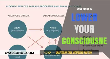 Exploring the Effects: Does Alcohol Lower Your Consciousness?