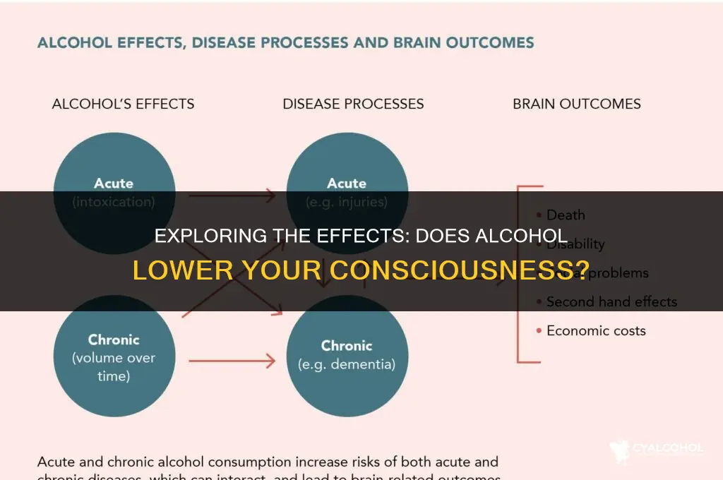does alcohol lower your consciousness