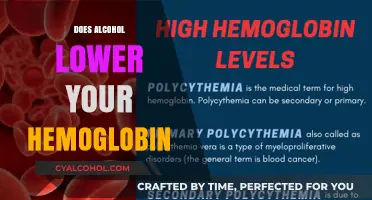 The Impact of Alcohol on Hemoglobin Levels: What You Need to Know