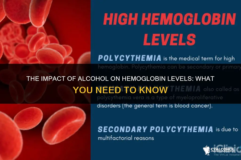 does alcohol lower your hemoglobin