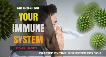 Alcohol's Impact: How Drinking Weakens Your Immune System Defense