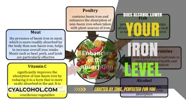 Alcohol and Iron Levels: How Drinking Impacts Your Body's Iron Absorption