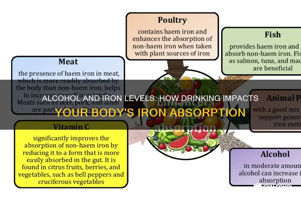 does alcohol lower your iron level