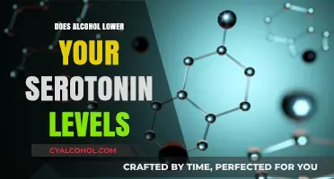 Alcohol and Serotonin: How Drinking Impacts Your Mood and Well-Being