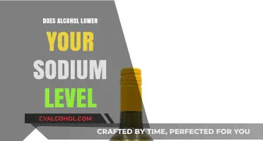 Alcohol and Sodium: How Drinking Impacts Your Body's Sodium Levels
