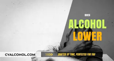 Does Alcohol Lower Your Inhibitions or Health Benefits?