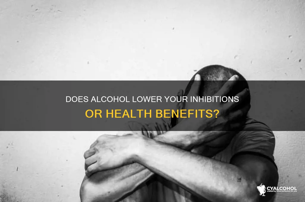does alcohol lower