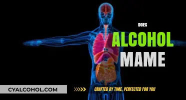 Does Alcohol Cause Harm? Exploring the Impact on Mind and Body