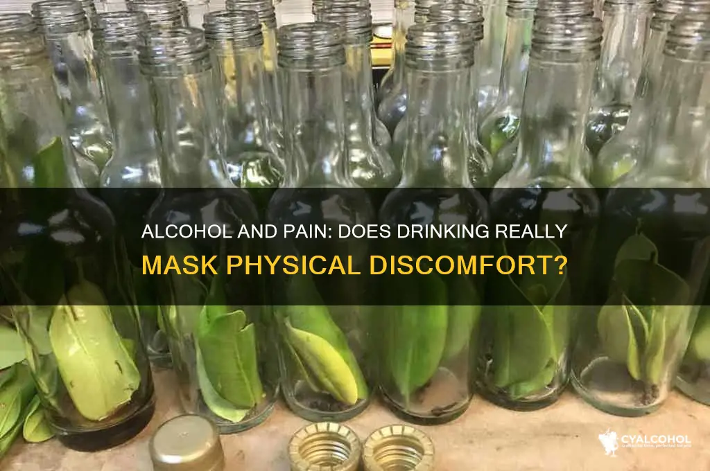does alcohol mask pain