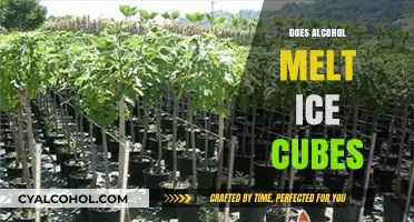 Chilling Truth: How Alcohol Affects Ice Cubes in Your Drink