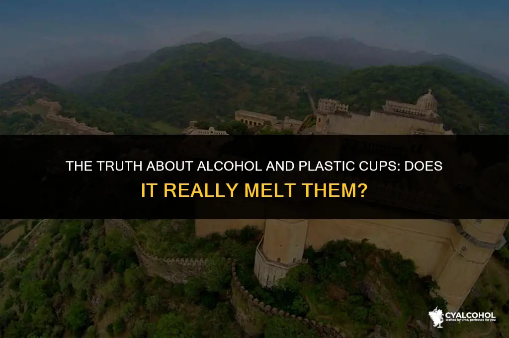 does alcohol melt olastic cups