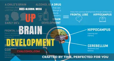 Alcohol's Impact on Brain Development: Uncovering the Risks and Consequences