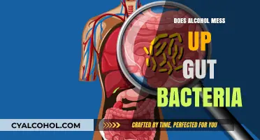 Alcohol's Impact on Gut Bacteria: Unraveling the Microbiome Disruption