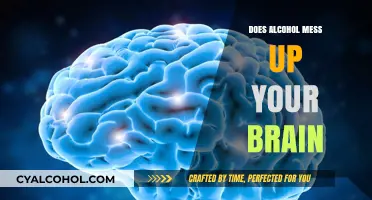 Alcohol's Impact on Brain Function: Unraveling the Cognitive Consequences