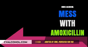 The Interaction Between Alcohol and Amoxicillin: What You Need to Know