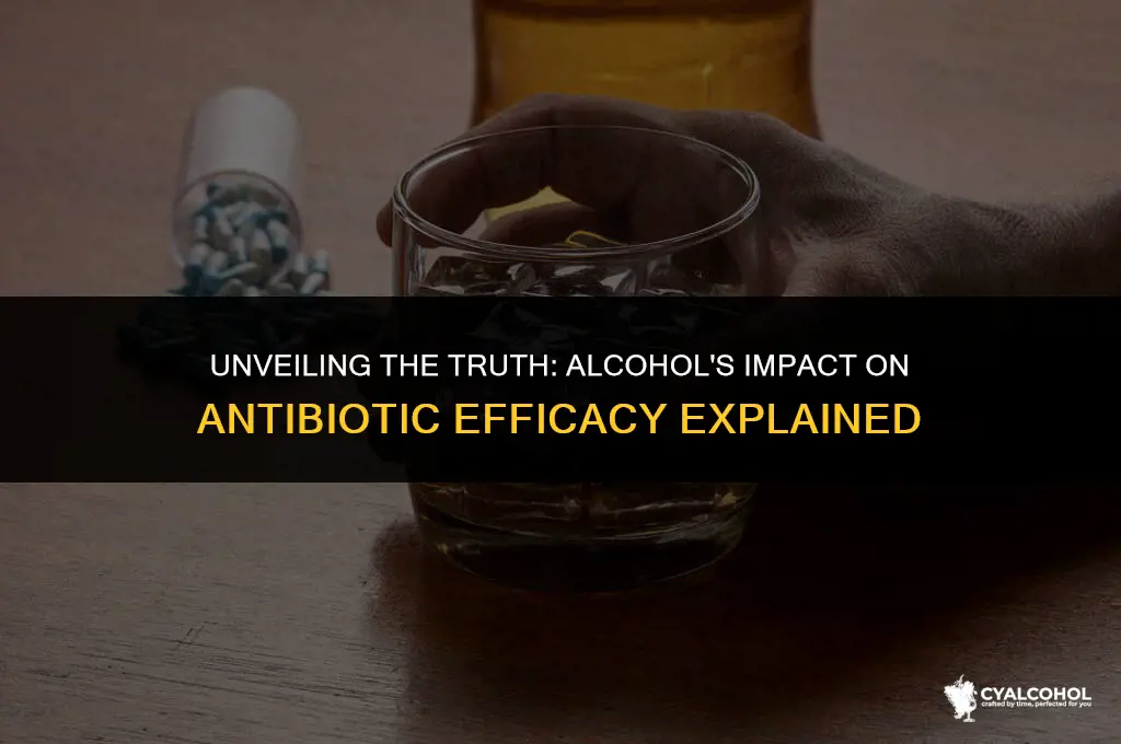 does alcohol mess with anitbiotic