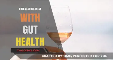 Alcohol's Impact on Gut Health: Unraveling the Hidden Connection