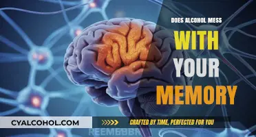 Alcohol and Memory: Unraveling the Impact on Your Recall Abilities