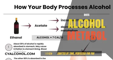 Understanding Alcohol Metabolism: How Your Body Processes Alcoholic Beverages
