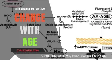 Aging and Alcohol: How Metabolism Changes Over Time