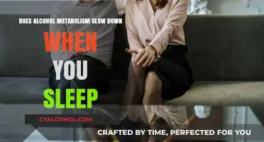 Does Alcohol Metabolism Slow Down During Sleep? Exploring the Science