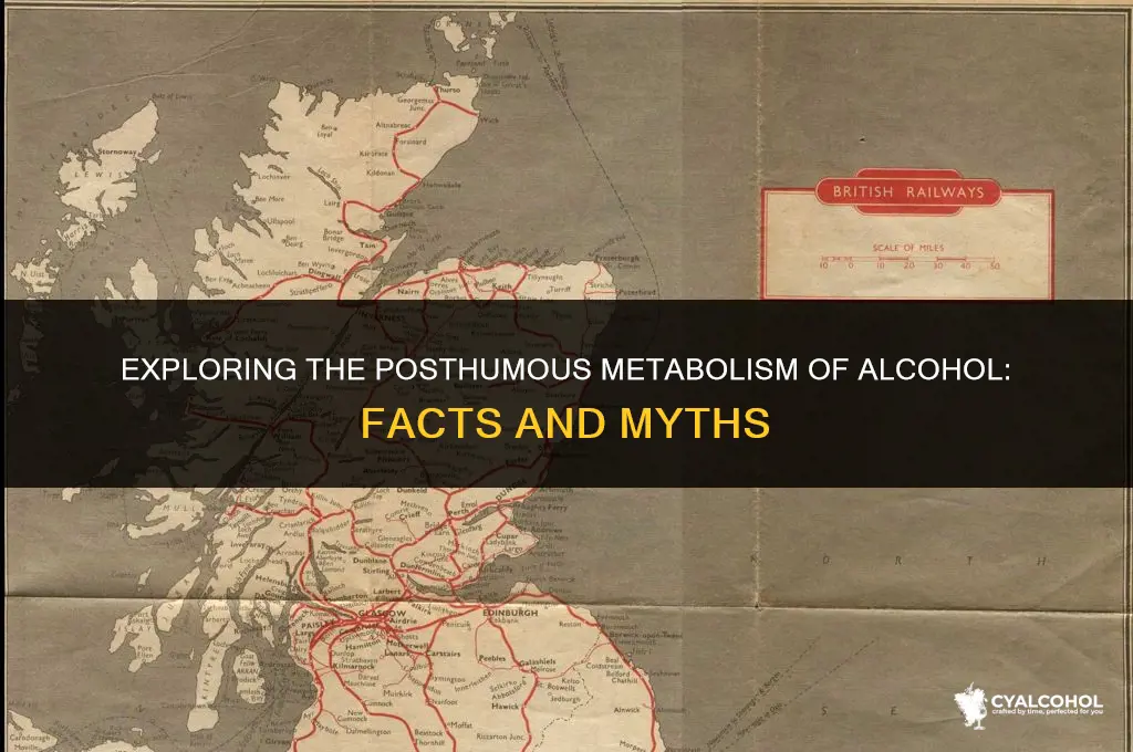 does alcohol metabolize after death