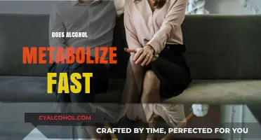 How Fast Does Alcohol Metabolize? Factors Affecting Breakdown and Elimination