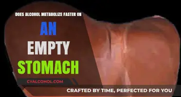 Empty Stomach Alcohol Metabolism: Does It Speed Up the Process?