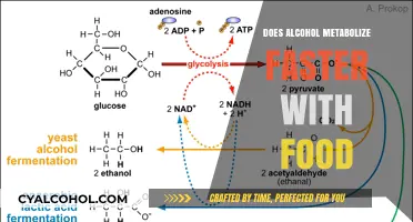 Does Food Speed Up Alcohol Metabolism? Facts and Insights