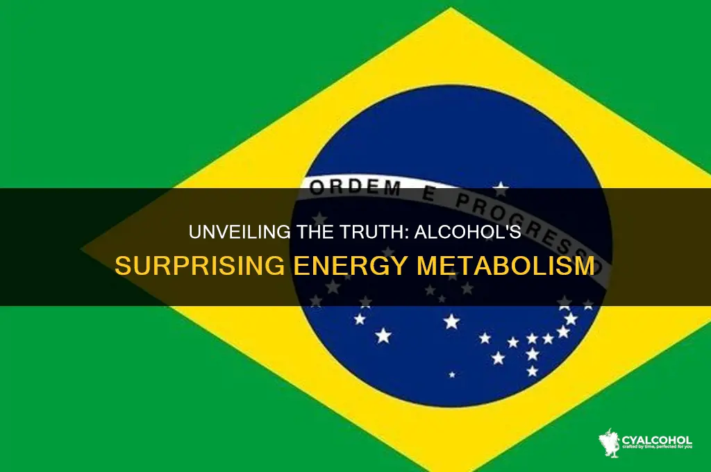 does alcohol metabolize into energy