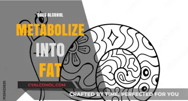 The Truth About Alcohol Metabolism: Does It Really Turn Into Fat?