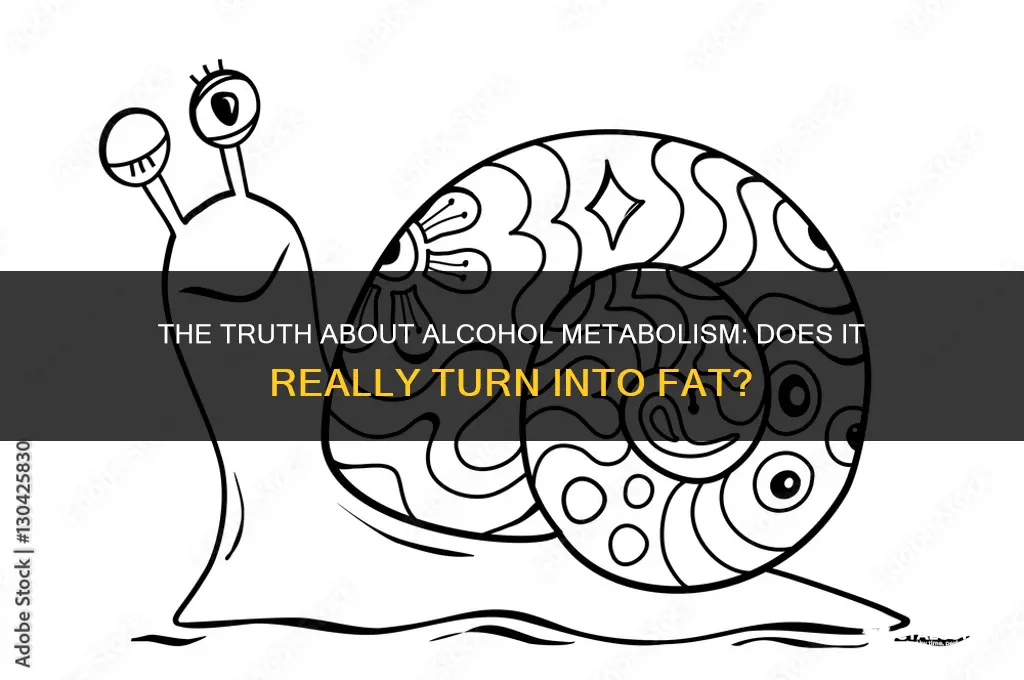 does alcohol metabolize into fat