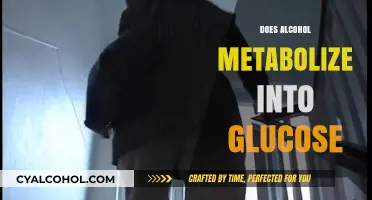 Unraveling the Myth: Alcohol's Metabolic Journey Beyond Glucose