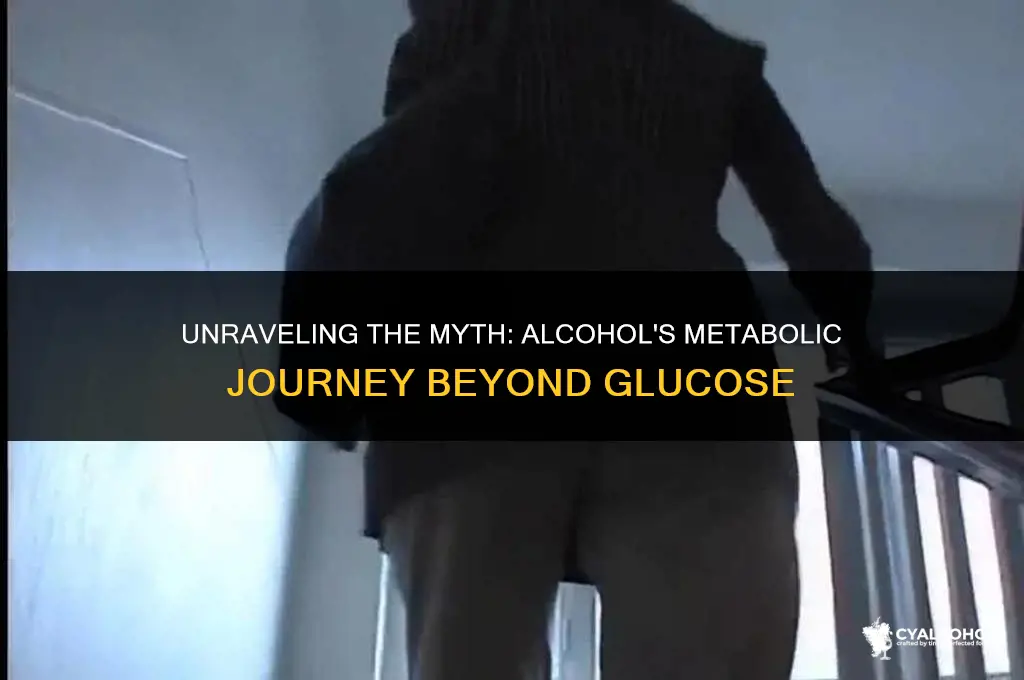 does alcohol metabolize into glucose