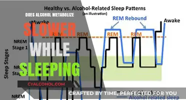 Does Alcohol Metabolism Slow Down During Sleep? Uncovering the Truth