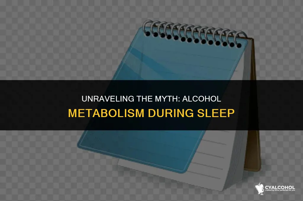 does alcohol metabolize while sleeping