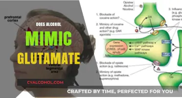 Alcohol's Glutamate Mimicry: Unraveling the Brain's Neurochemical Puzzle