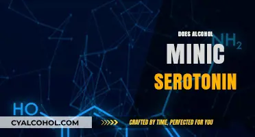 Alcohol and Serotonin: Unraveling the Mimicry Myth and Its Effects