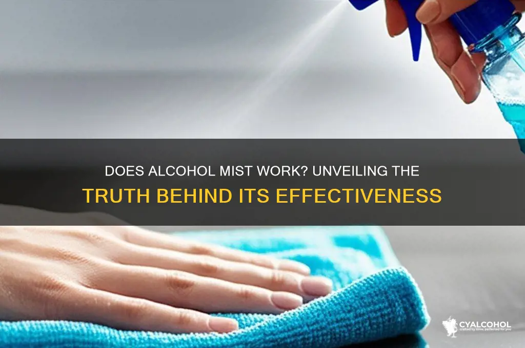 does alcohol mist work