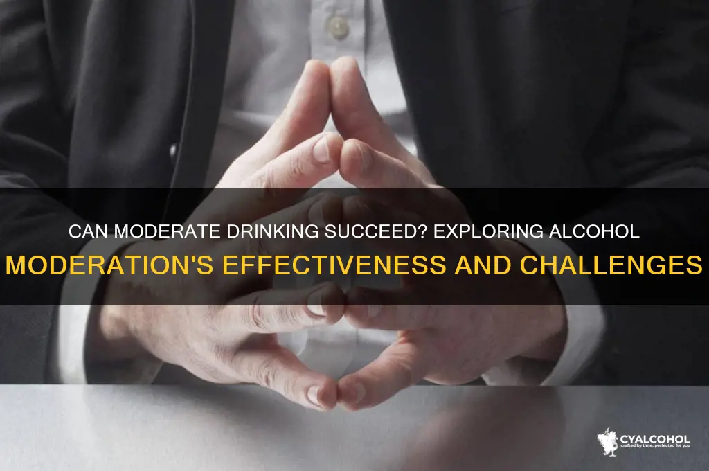 does alcohol moderation work