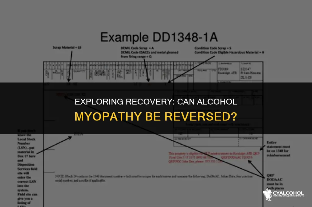 does alcohol myopathy go away